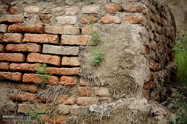 دیوار تاریخی گرگان سمبل نبوغ و هویت ایرانی/نواقص طرح برطرف می شود